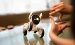 LOONA El Perro Robot